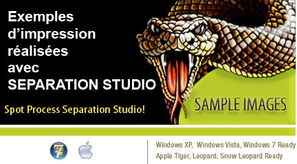 separation studio spot process software free download